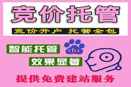 SEM托管服务在体育产业中的创新应用案例